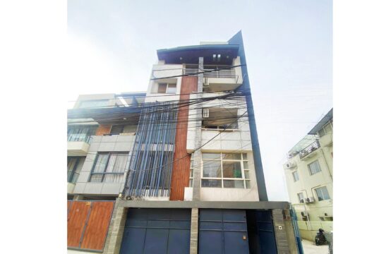 Luxury Furnished Apartment with Private Terrace in Sanepa !!