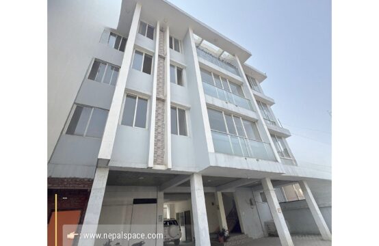 Beautiful House for Rent in Sanepa,  Lalitpur !!